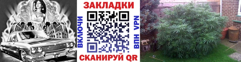 Где купить наркотики Брянск Конопля  Кокаин  ГАШИШ  Alpha PVP  МЕФ 