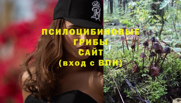 прущий лед Армянск