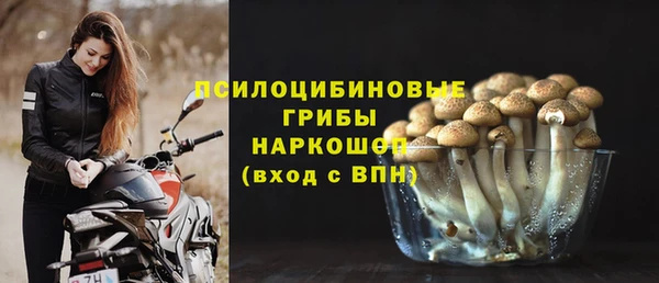 a pvp Семилуки