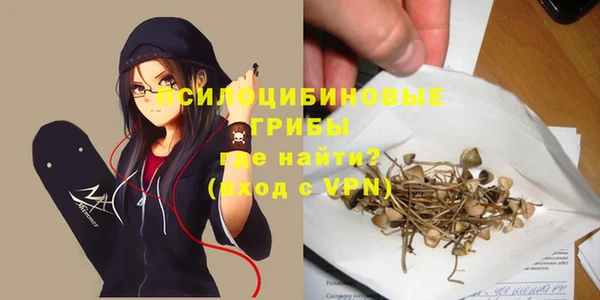 бутират Арсеньев
