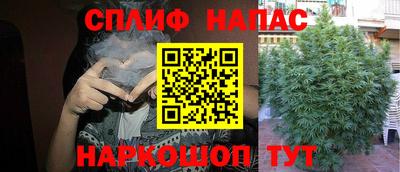 гашик Бийск