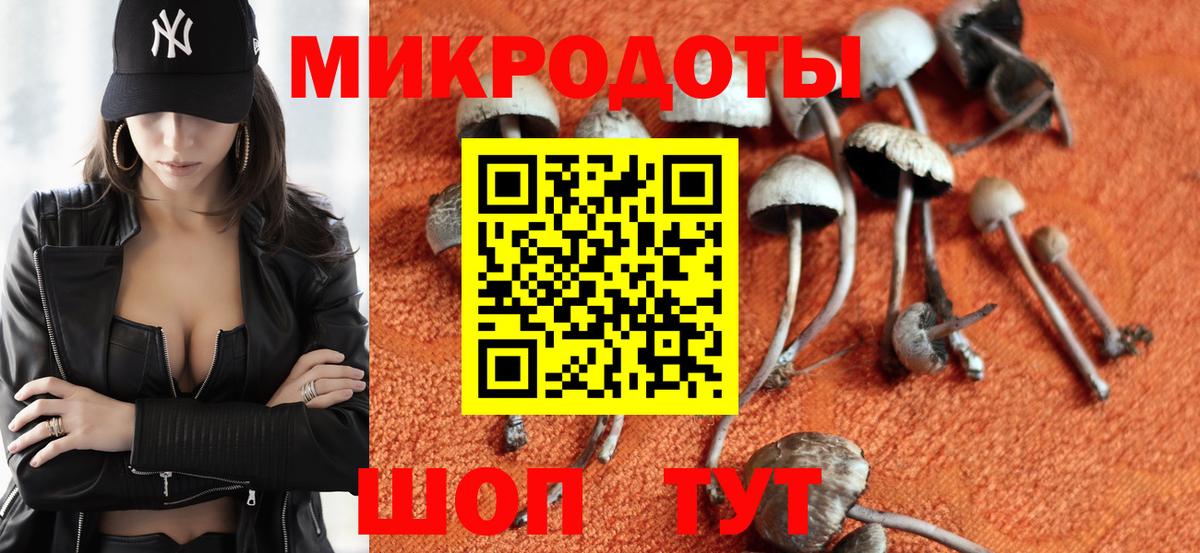 Галлюциногенные грибы Magic Shrooms  Вход с VPN  Брянск  Псилоцибиновые грибы ЛСД 