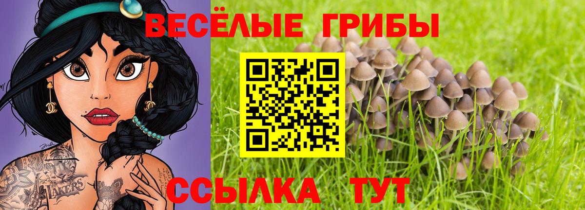 Псилоцибиновые грибы прущие грибы Брянск